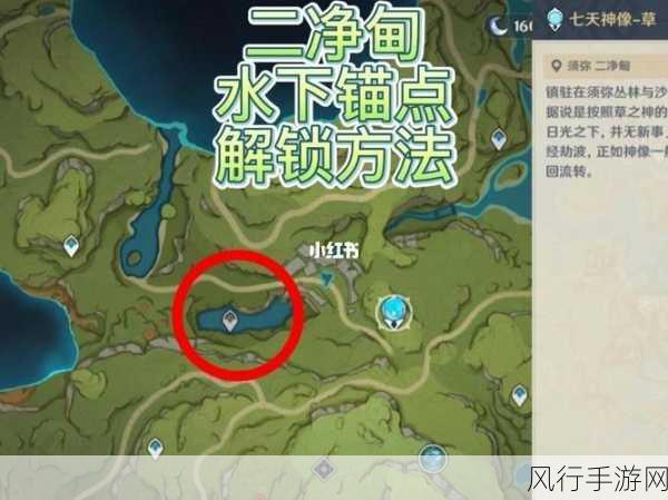 原神须弥二净甸锚点解锁，探索与收益的深度剖析