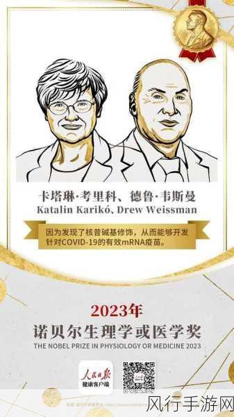 强 一级二级2023-探索2023年强一级二级发展的新机遇与挑战