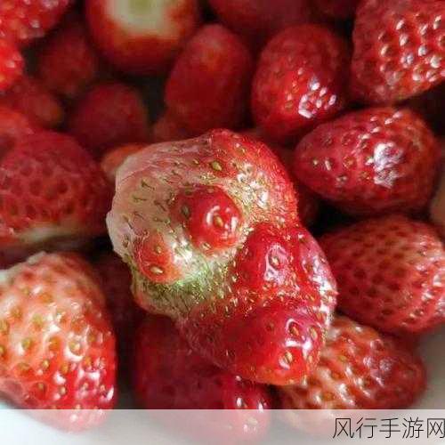 草莓视频成年-探索草莓视频:成人娱乐新视角与体验分享