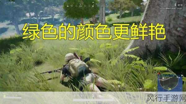 绝地求生大逃杀绿血改红血,玩家需求驱动下的游戏设置调整
