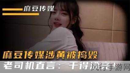 麻豆视频传媒免费入口-探索麻豆视频传媒免费入口，畅享海量精彩内容与无限乐趣。