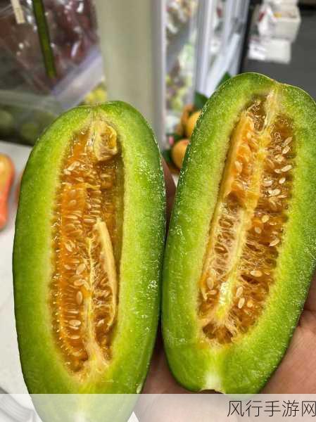 他的舌头探进蜜源毛毛虫说-探索蜜源的奇妙旅程：毛毛虫的舌头冒险记