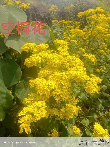 他的舌头探进蜜源毛毛虫说-探索蜜源的奇妙旅程:毛毛虫的舌头冒险记