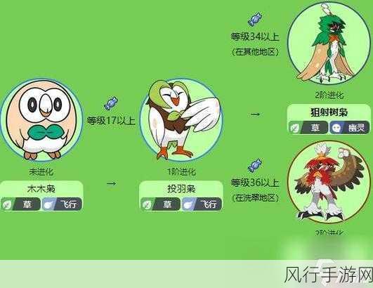 宝可梦大集结，狙射树枭技能搭配策略解析