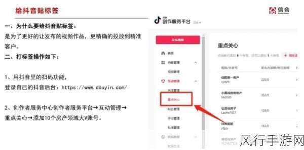探索抖音创作服务平台，开启创作新征程