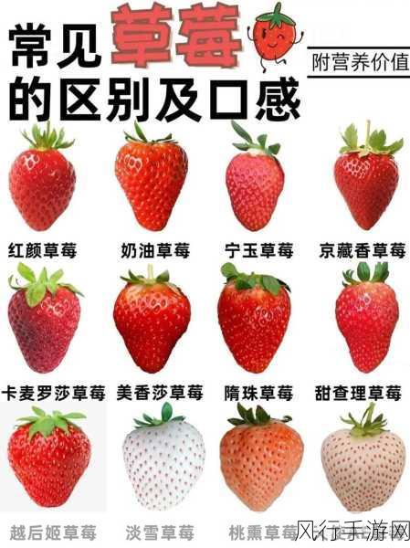 草苺ⅰos-草莓的奇幻旅程:探索甜美与冒险的新篇章