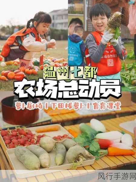 双人拔萝卜-携手共拔萝卜,欢笑在田间相伴