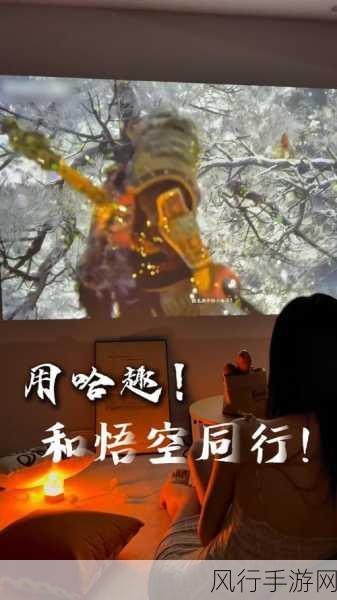 哈趣h2 可以玩 哪些游戏呢-拓展哈趣H2支持哪些精彩游戏推荐与玩法介绍