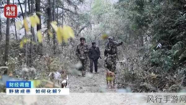 三角洲行动G18C改装指南，解锁高性能枪械的财经视角