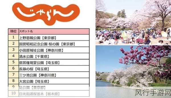 日本网站-探索日本文化与风景的最佳旅游指南网站