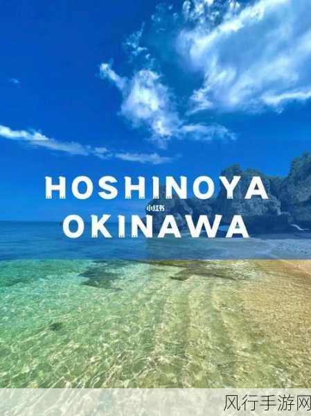 日本网站-探索日本文化与风景的最佳旅游指南网站