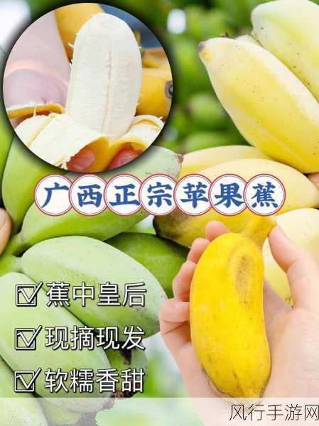 下载香蕉视频-如何安全有效地下载香蕉视频，享受无限乐趣！