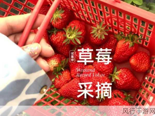 草莓视频看片-畅享草莓视频,带你领略无限精彩与乐趣!