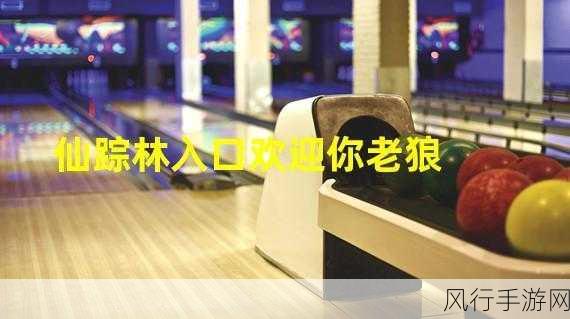 仙踪林老狼-神秘仙踪林中的老狼传奇与冒险故事
