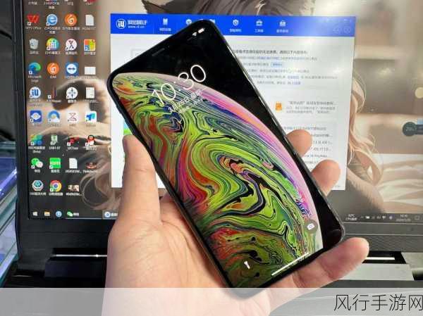 iphonexsmax在日本人-体验极致科技：iPhone XS Max在日本的独特魅力与用户反馈