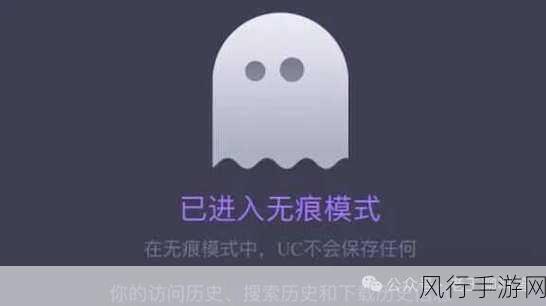 不良网站进入窗口软件打开-如何有效阻止不良网站通过窗口软件侵入你的设备