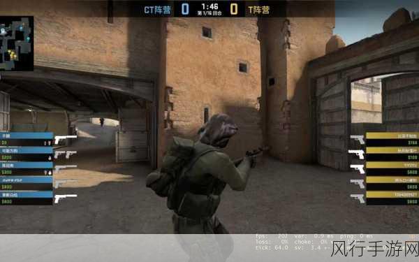csgo暴躁小老妹视频-“CSGO暴躁小老妹:游戏中的疯狂瞬间与搞笑反应集锦!”