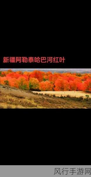 新疆XXXXXL19D-探索新疆的自然风光与人文魅力，尽享独特体验