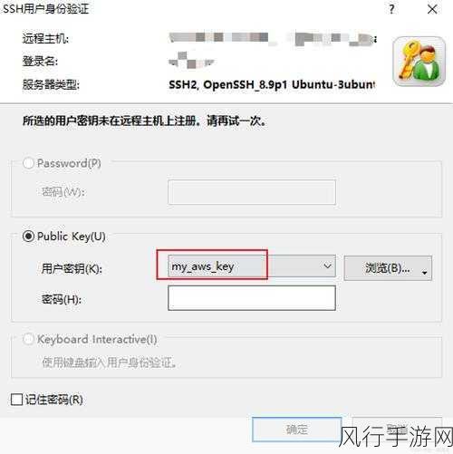 国产vpswindows精品-提升国产VPS Windows服务质量,打造行业精品之选
