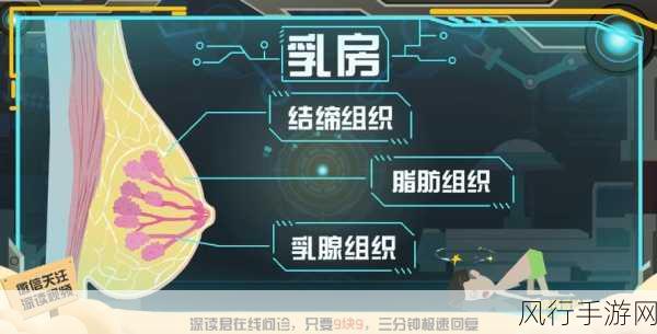 八重神子乳腺增生-八重神子的乳腺增生解析与治疗对策探讨