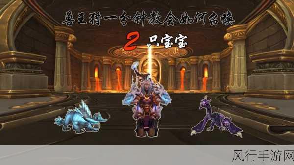 魔兽世界WLK 猎人阿克图瑞斯宝宝的神秘捕捉之旅