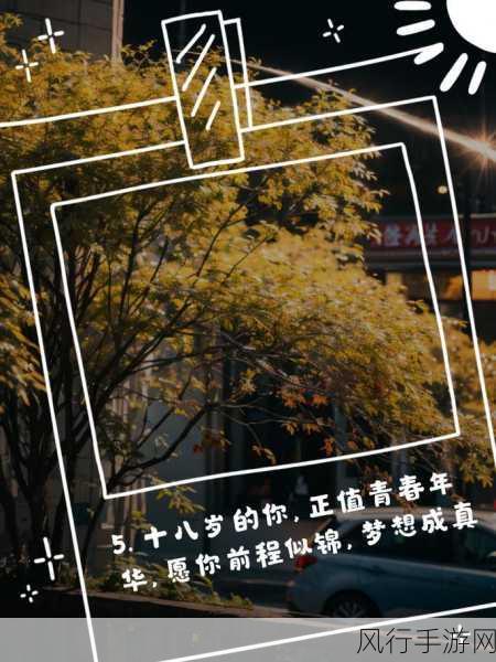 是十八岁网站-探索十八岁:青春的无限可能与梦想启航