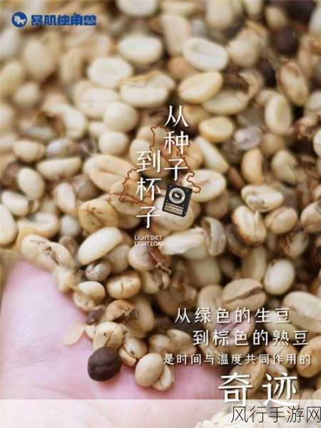 麻花豆传的最新一期内容是-麻花豆传:探秘美食背后的故事与文化