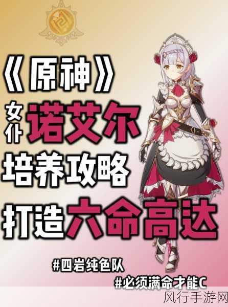 原神诺艾尔，全方位技能解析与实战应用指南的财经透视