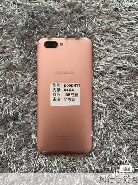 r11上市时间价格-R11上市时间与价格详解：你不可错过的信息