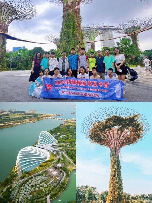 探索<爸爸去哪了 2>的精彩之旅攻略秘籍