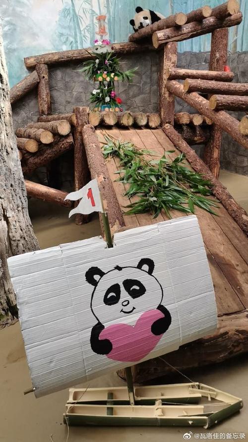 探索<爸爸去哪了 2>的精彩之旅攻略秘籍