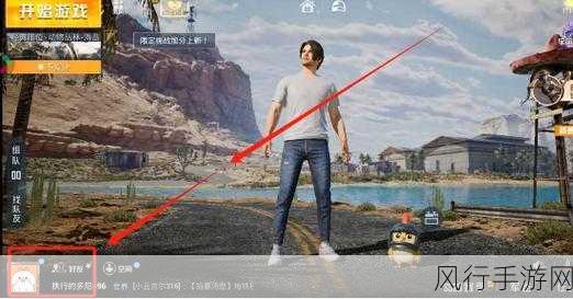 和平精英微信名片关闭策略,提升玩家体验与隐私保护的财经视角