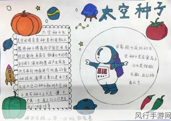探索文明,太空种田流的奇妙策略之旅