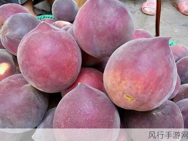 黑桃爆料网-黑桃爆料网:揭露内幕、分享真相的最佳平台