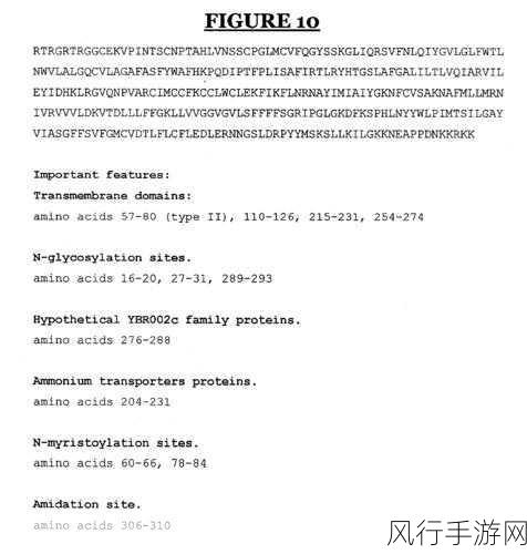 cekc高清bnдeo清-探索高清 cekc bnдeo 清晰度提升的全新体验与技巧