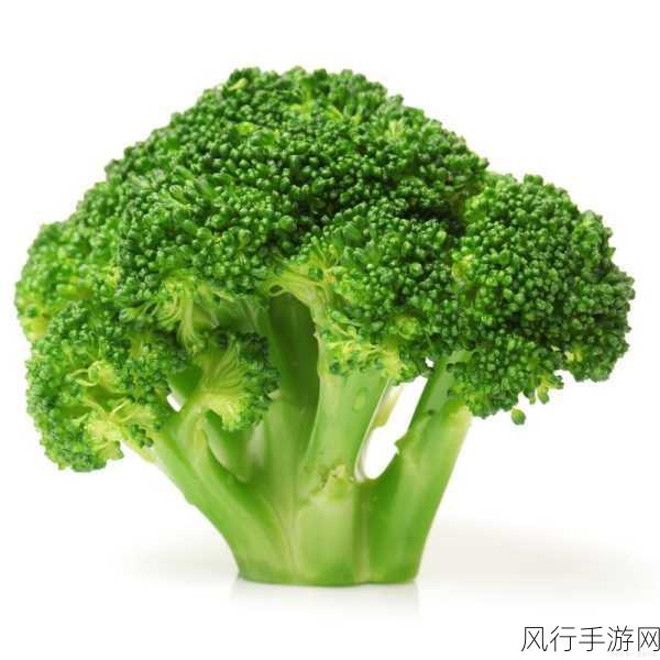 探索健身食材中的花椰菜与西蓝花