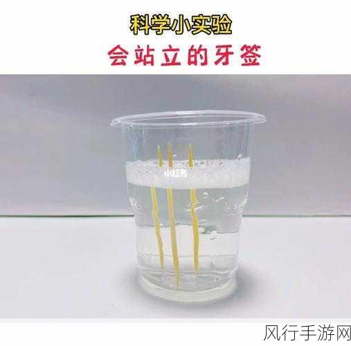 10岁的pg能塞下多少根牙签-10岁小朋友的PG能装下多少根牙签？来看看吧！
