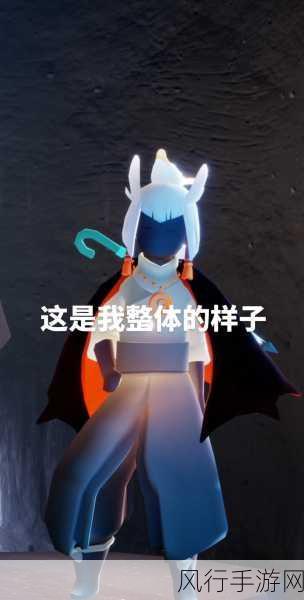 Sky光遇墓土博物馆,解锁图鉴的财富密码