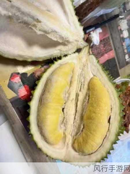榴莲视频汇聚APP-榴莲视频汇聚APP：尽享全球美食与文化的视听盛宴