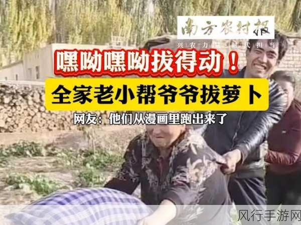 拔萝卜打牌不盖铺-巧妙策略:拔萝卜与打牌中的不盖铺技巧解析