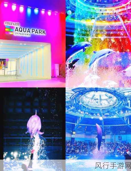 探索 Aquapark 安卓版的下载路径