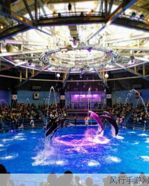 探索 Aquapark 安卓版的下载路径