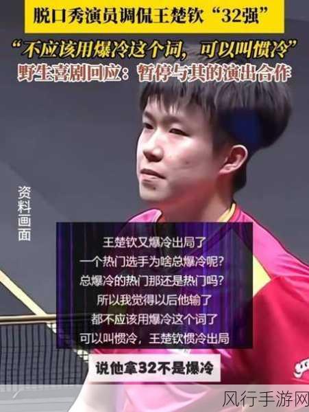 王楚钦蔡振华-“王楚钦与蔡振华:乒坛新星的崛起与传承之路”