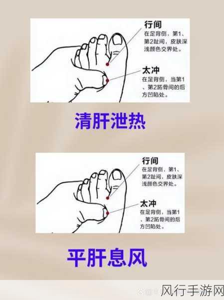 《办公室强肝》的基本信息是什么?-《办公室强肝》:职场人士必备的健康养生指南与实用技巧
