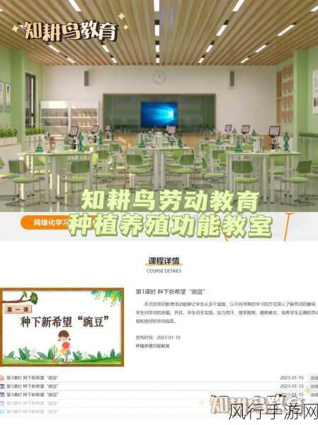 成品网站w灬源码16-在拓展成品网站中应用w灬源码16的创新解决方案与实践分享