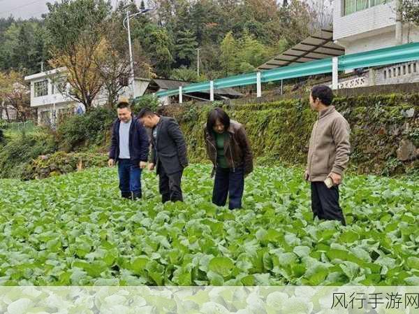 儿子帮妈妈耕种荒废的田-儿子携手母亲，共同开垦荒田重焕新生机