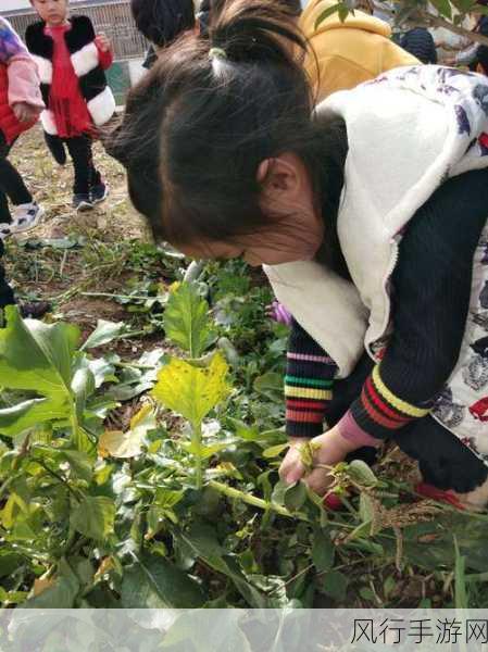 外国在床上拔罗卜-异国风情:床上拔萝卜的奇趣体验与文化探讨