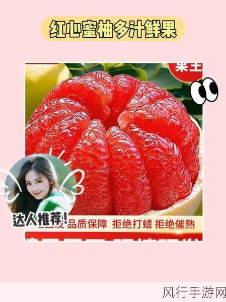 蜜柚色板视频-探索多样蜜柚色板，打造独特视觉享受！