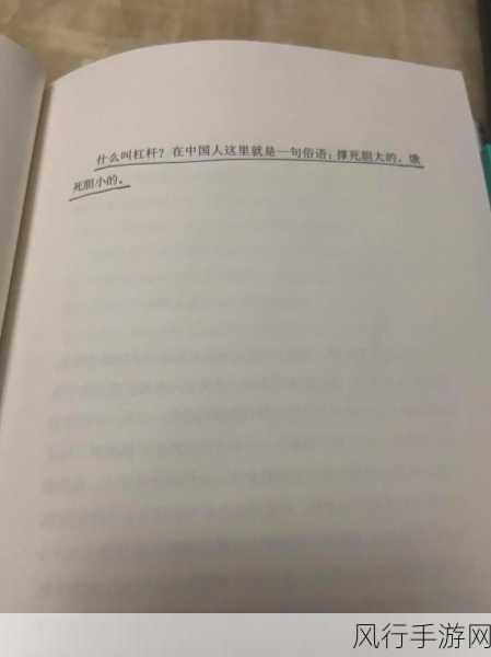 小森生活特级收纳箱攻略，解锁80个特级收纳箱的财富秘籍