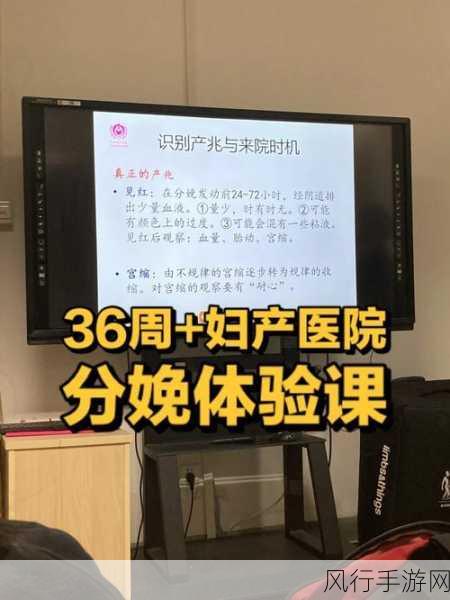 windowschannel孕妇生产360-孕妇生产全攻略：360度解析分娩过程与注意事项